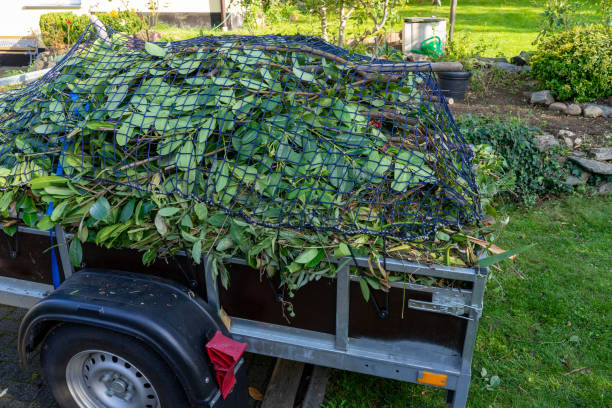 Best Scrap Metal Removal  in Pacific, MO